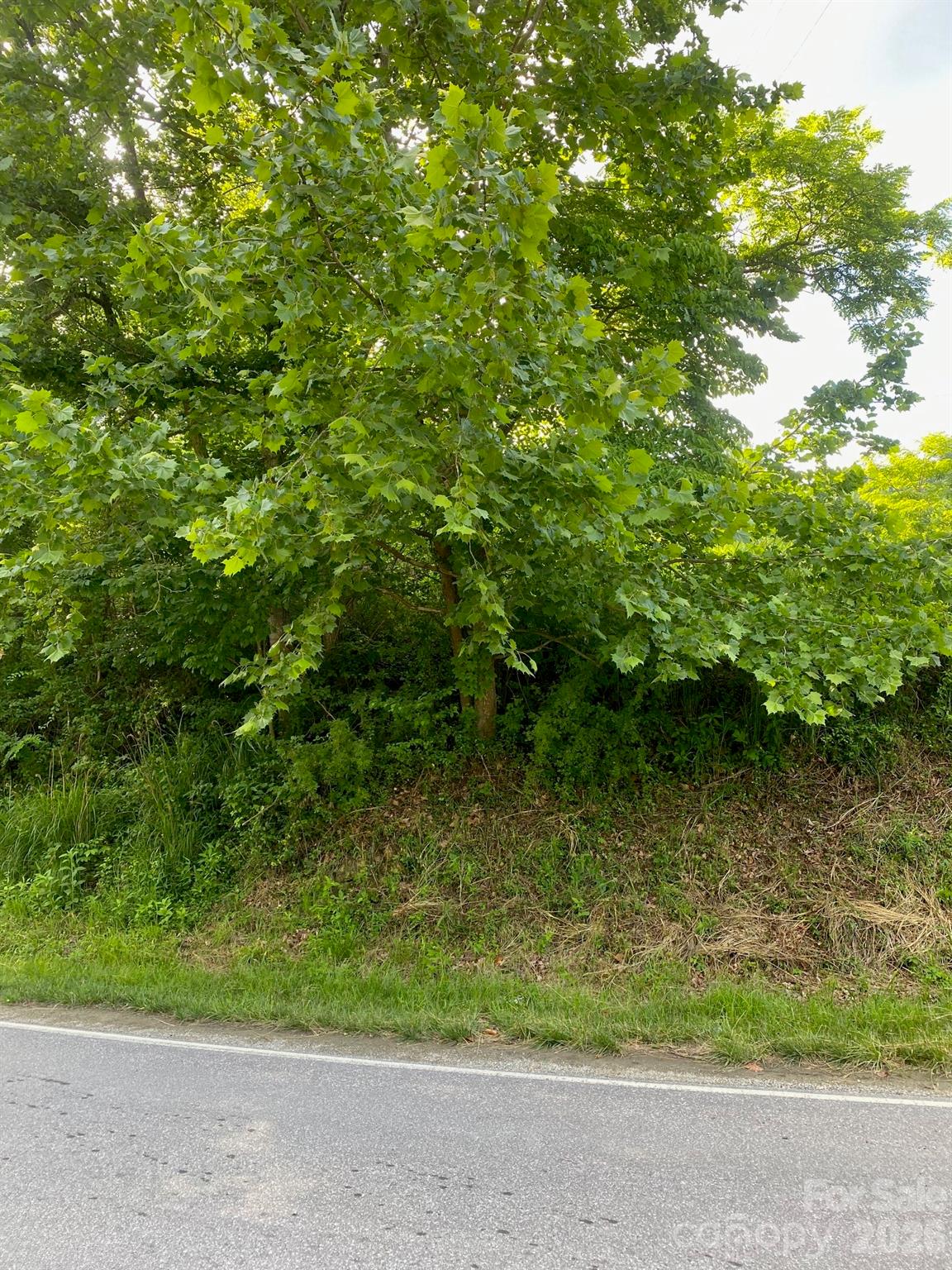 000 East Fork Road Property Photo 20