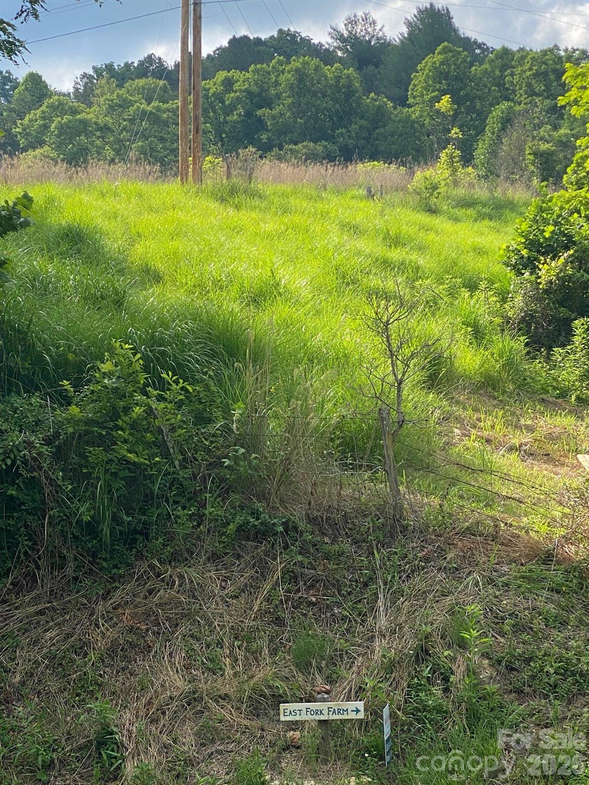 000 East Fork Road Property Photo 21