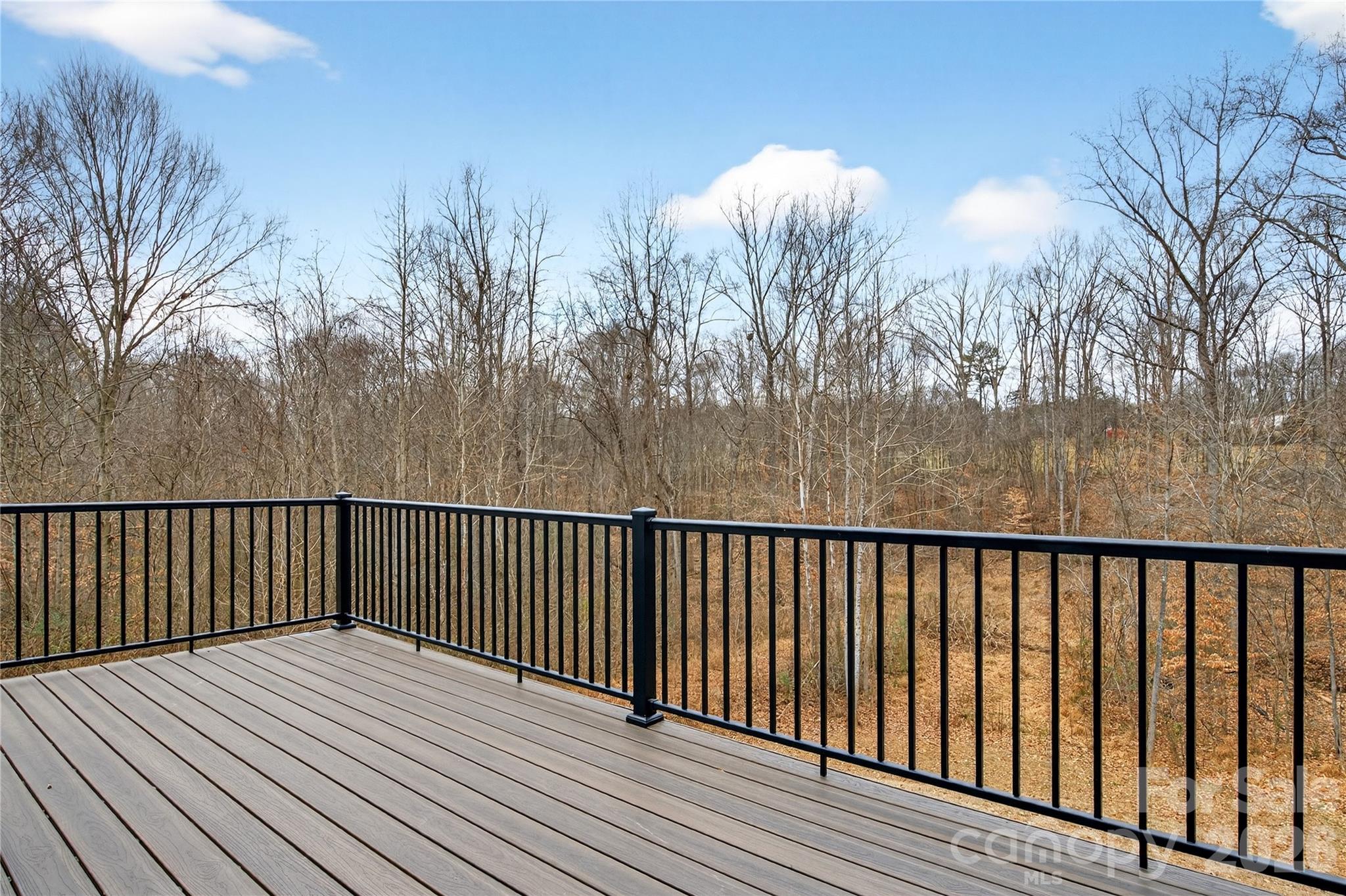 229 Shenandoah Loop Property Photo 33