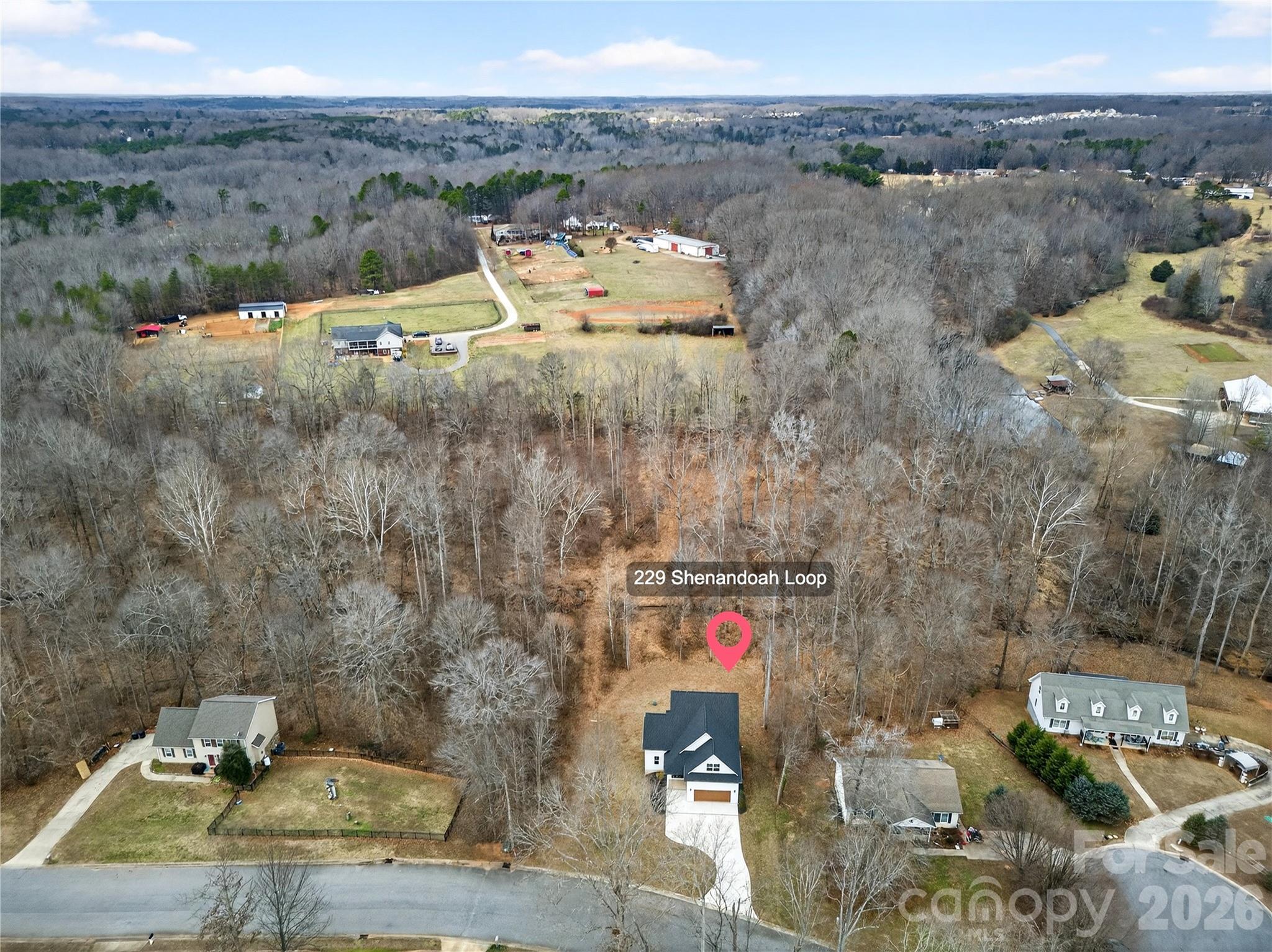229 Shenandoah Loop Property Photo 39