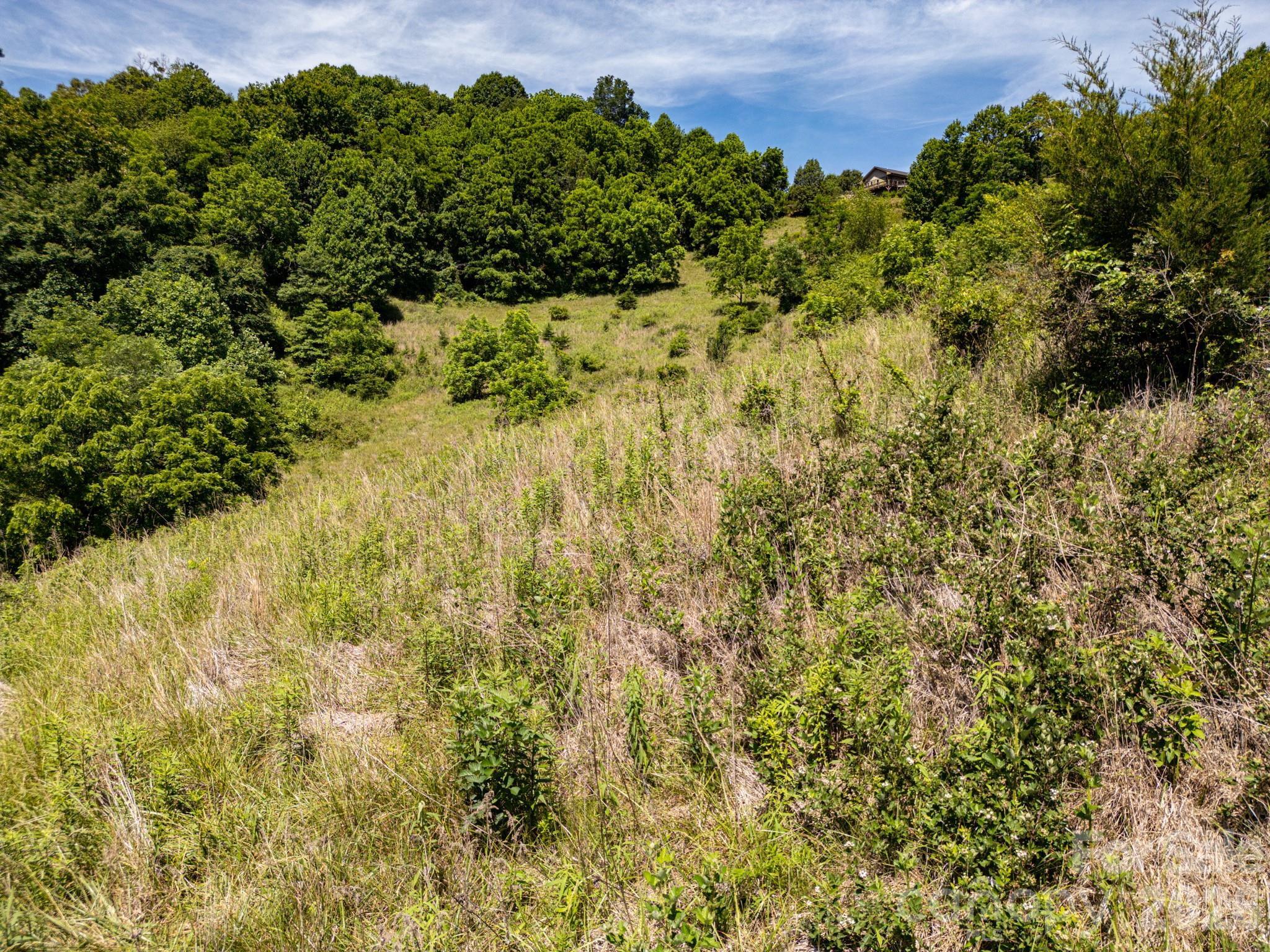 999 Murphy Cove Road Property Photo 33