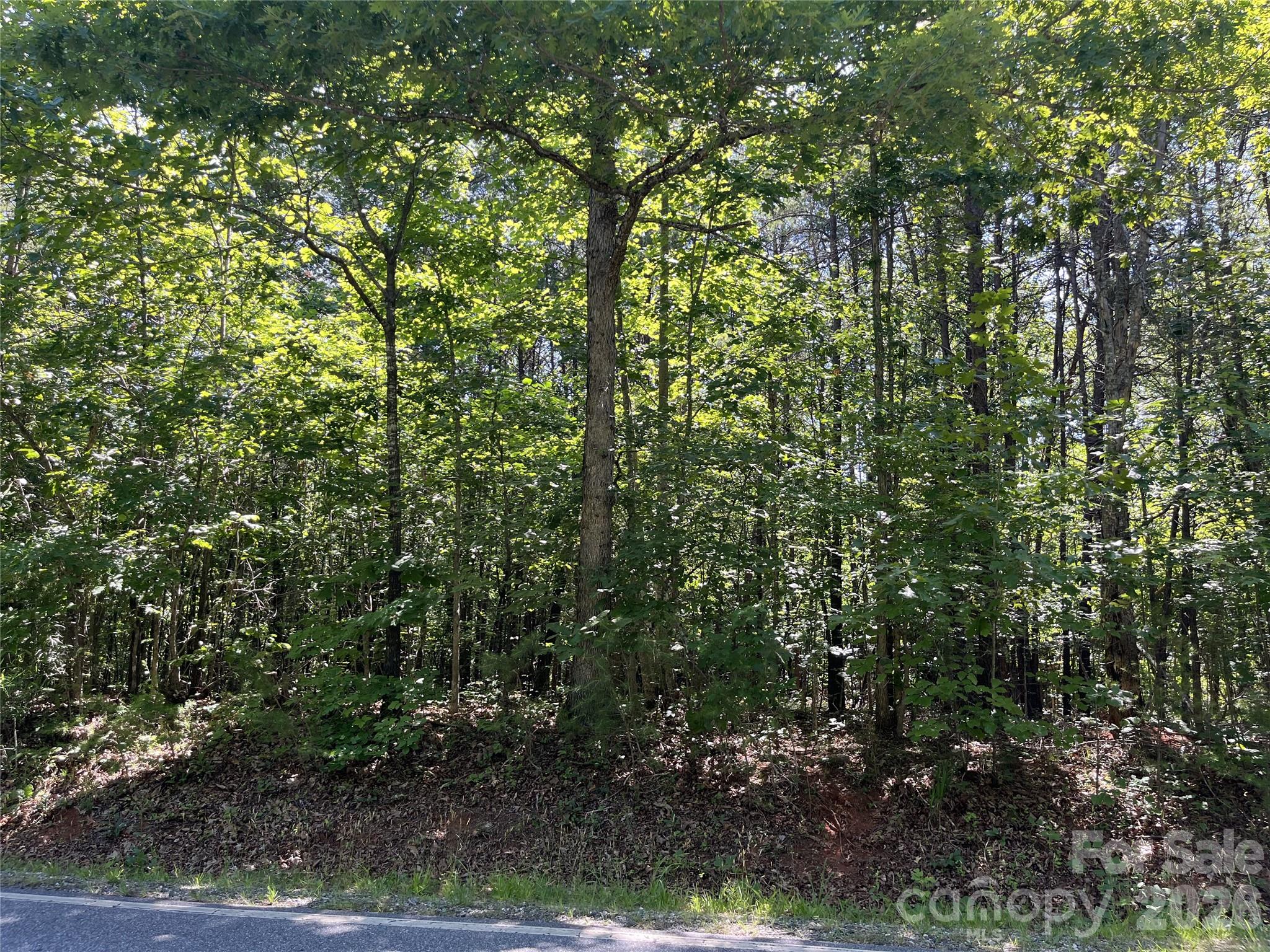 0 Rock Road Property Photo 1