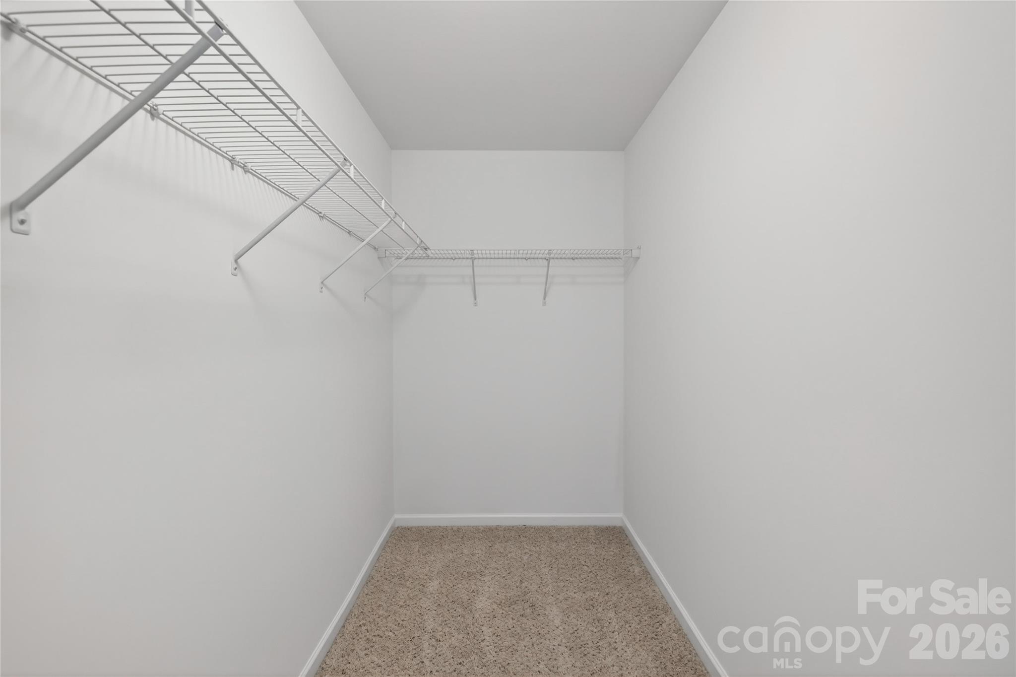 9013 Magnolia Lily Avenue Property Photo 17