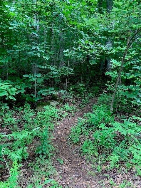 Tbd Whitewater Cove Property Photo 1