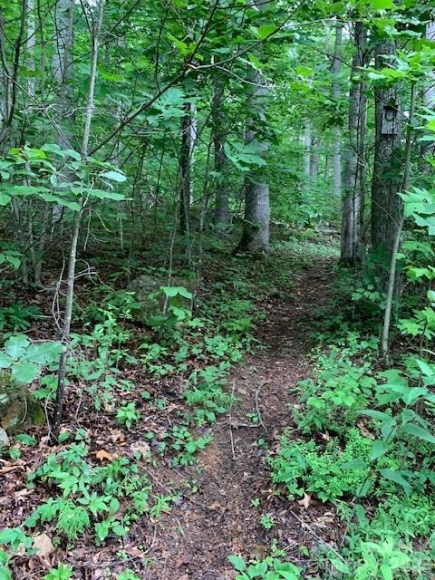 Tbd Whitewater Cove Property Photo 3