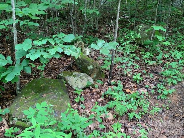 Tbd Whitewater Cove Property Photo 4