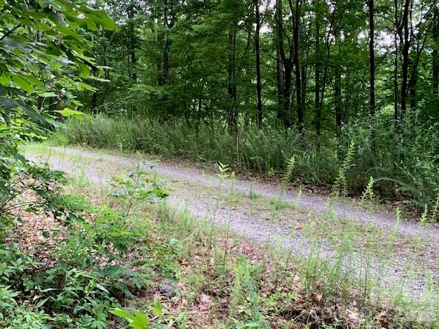 Tbd Whitewater Cove Property Photo 5