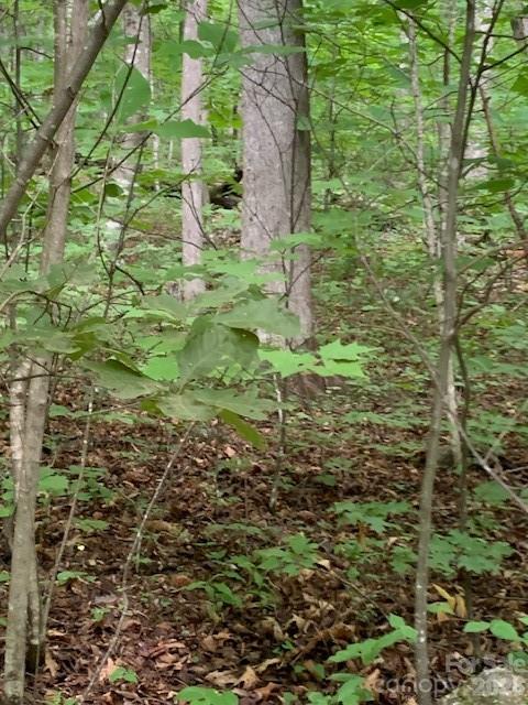 Tbd Whitewater Cove Property Photo 7