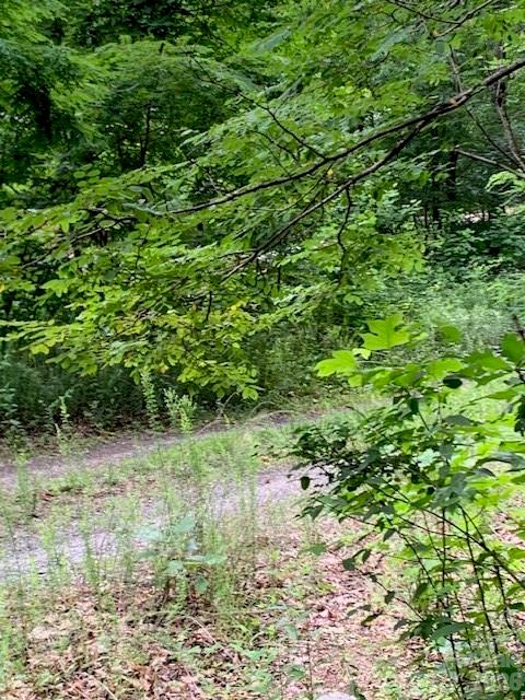 Tbd Whitewater Cove Property Photo 8