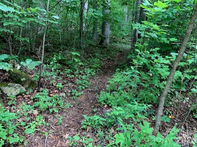 Tbd Whitewater Cove Property Photo 9