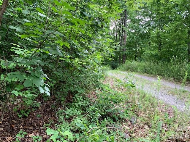 Tbd Whitewater Cove Property Photo 10