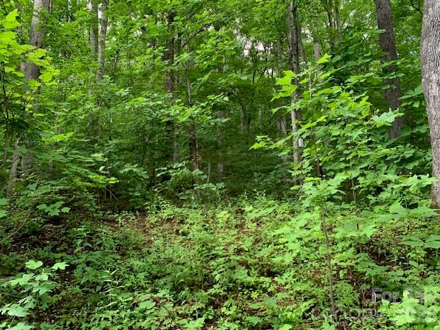 Tbd Whitewater Cove Property Photo 12