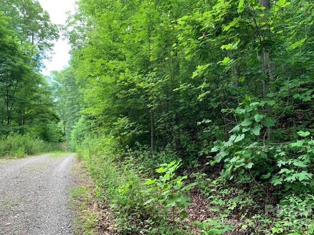 Tbd Whitewater Cove Property Photo 13