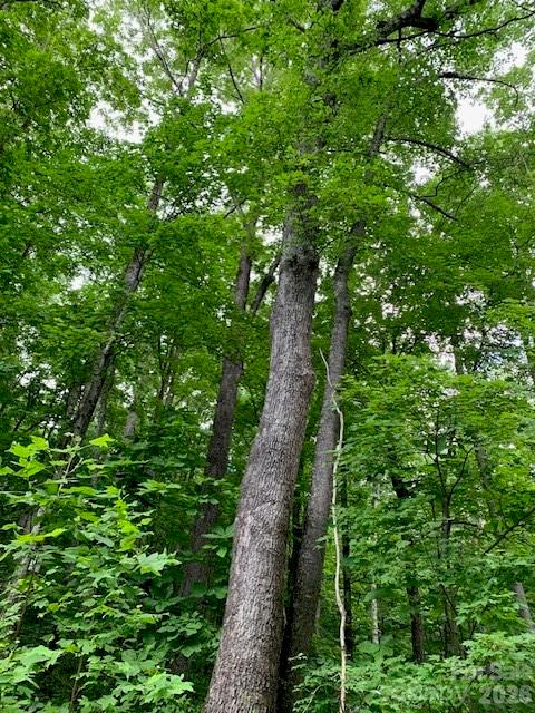 Tbd Whitewater Cove Property Photo 14