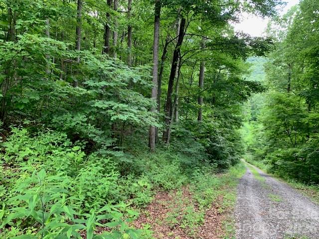 Tbd Whitewater Cove Property Photo 15