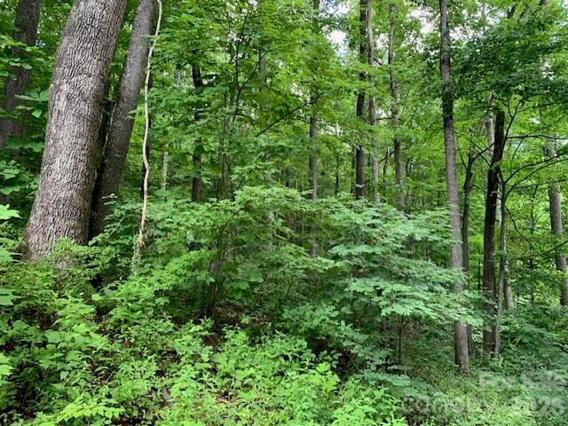 Tbd Whitewater Cove Property Photo 16