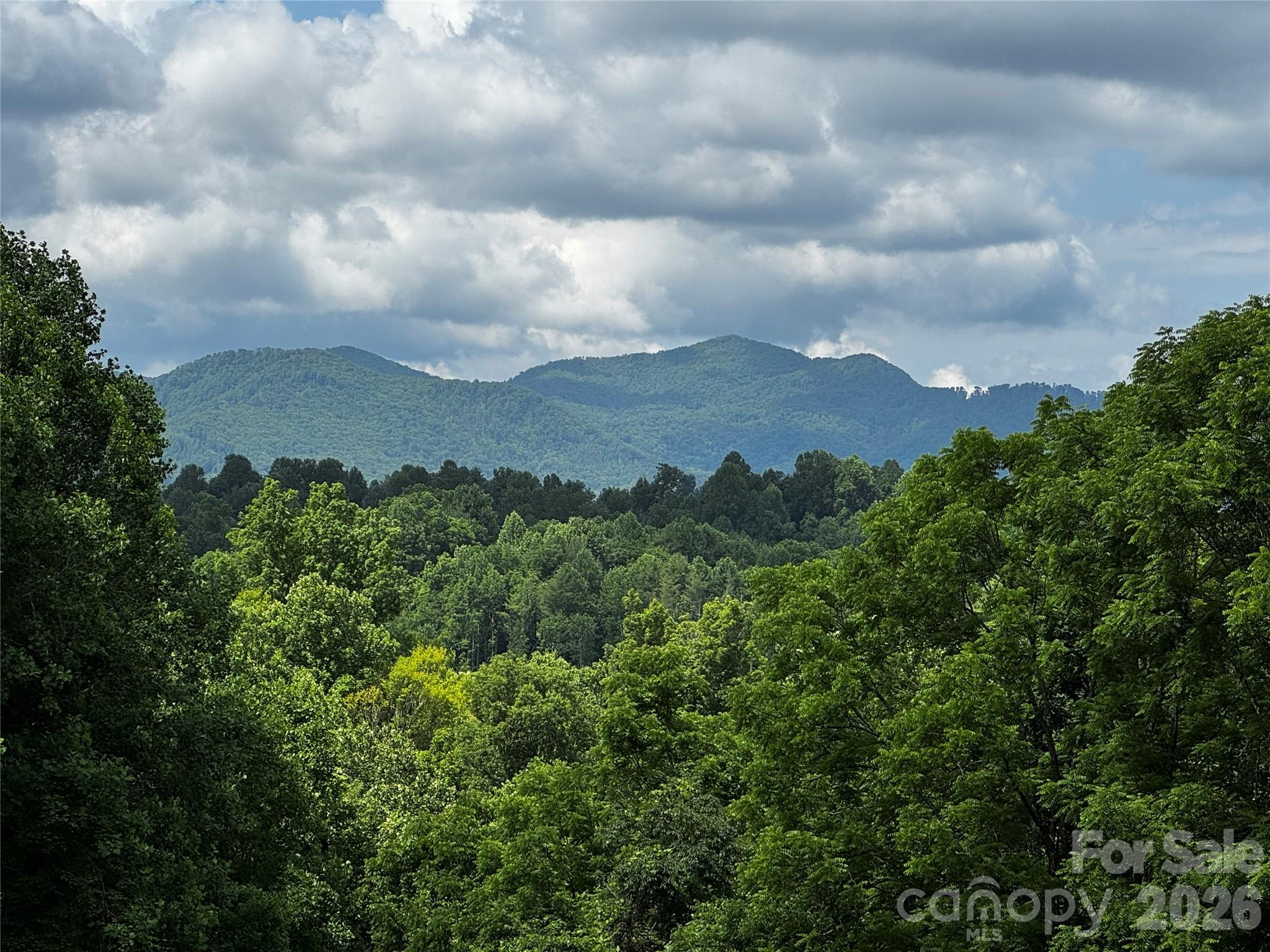 1327 Nc 80 Highway Property Photo 2