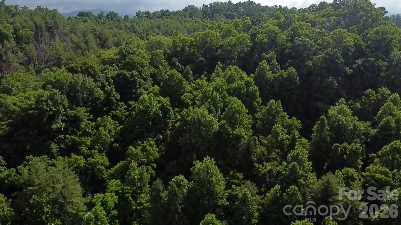 1327 Nc 80 Highway Property Photo 32
