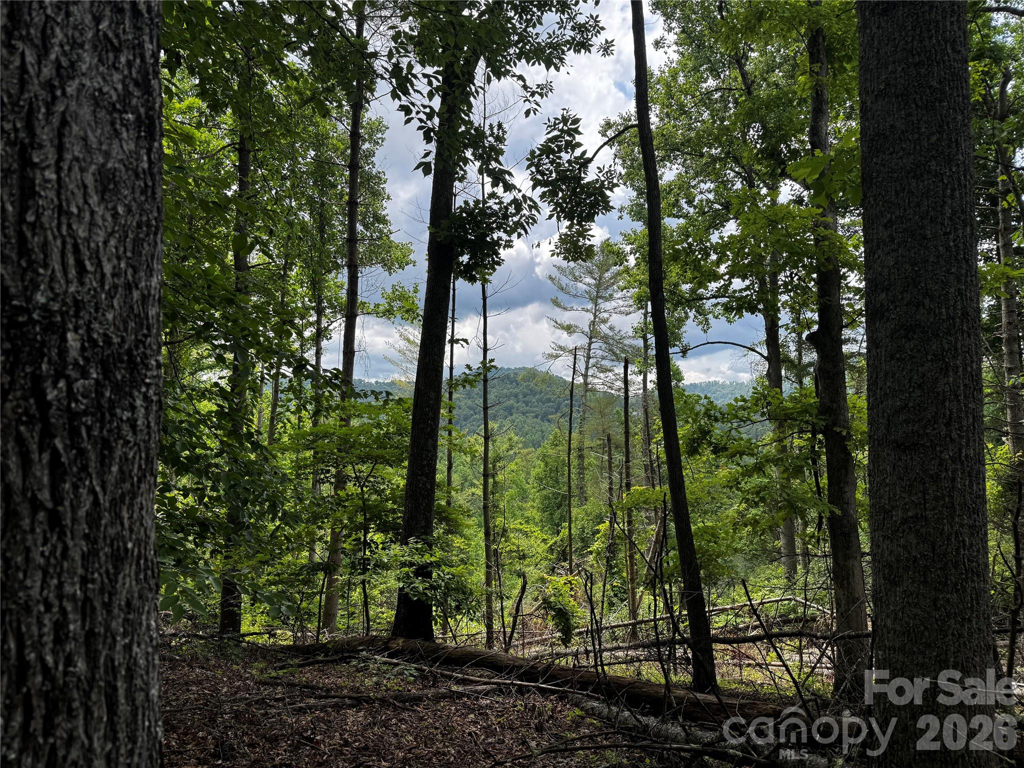 1327 Nc 80 Highway Property Photo 34