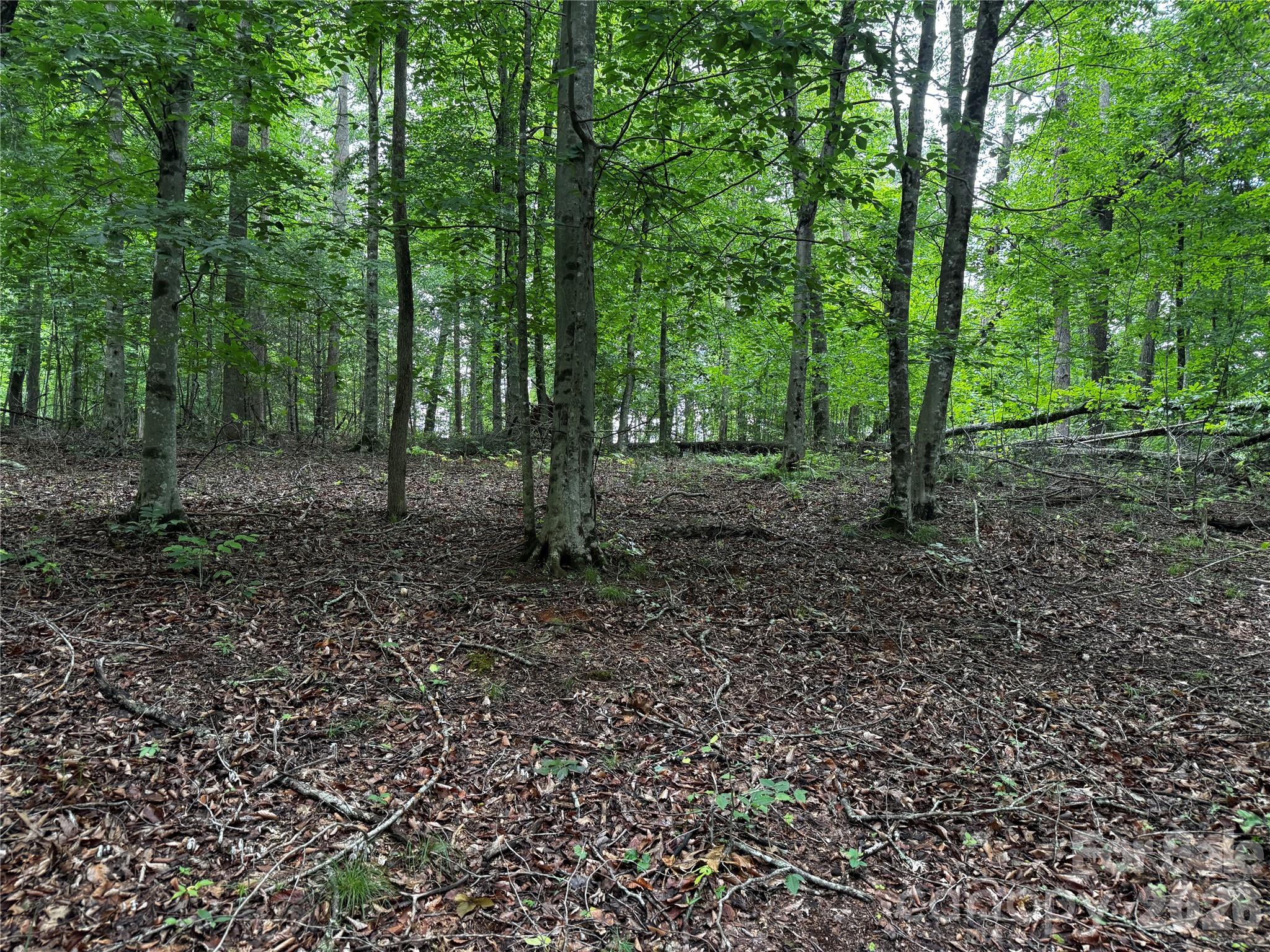 1327 Nc 80 Highway Property Photo 35