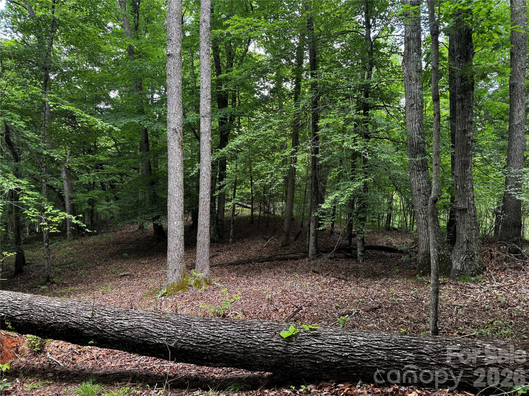 1327 Nc 80 Highway Property Photo 36