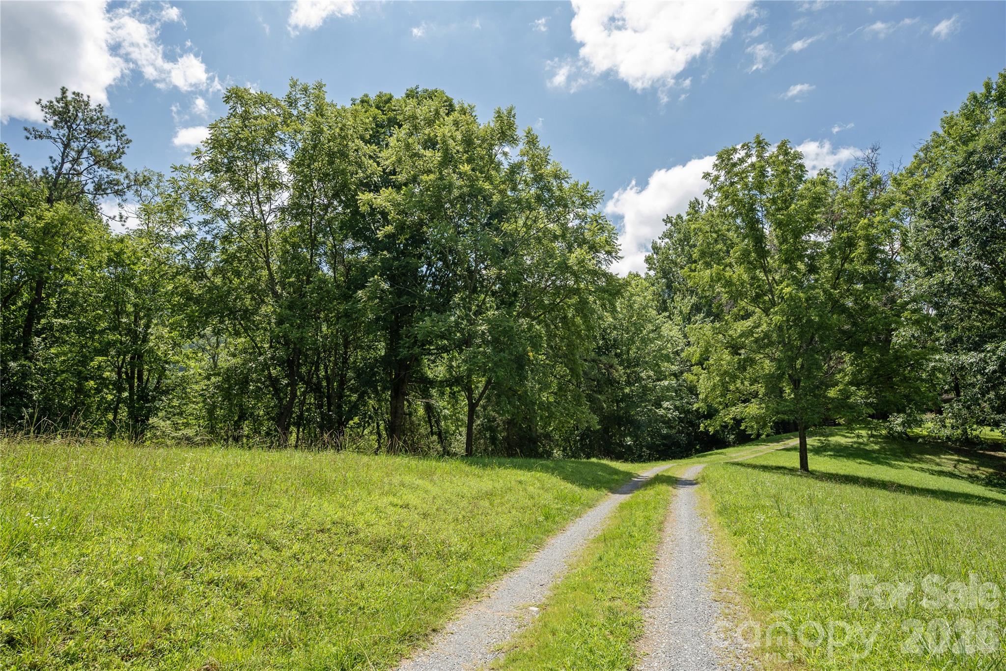 47 Buchanan Lane Property Photo 26