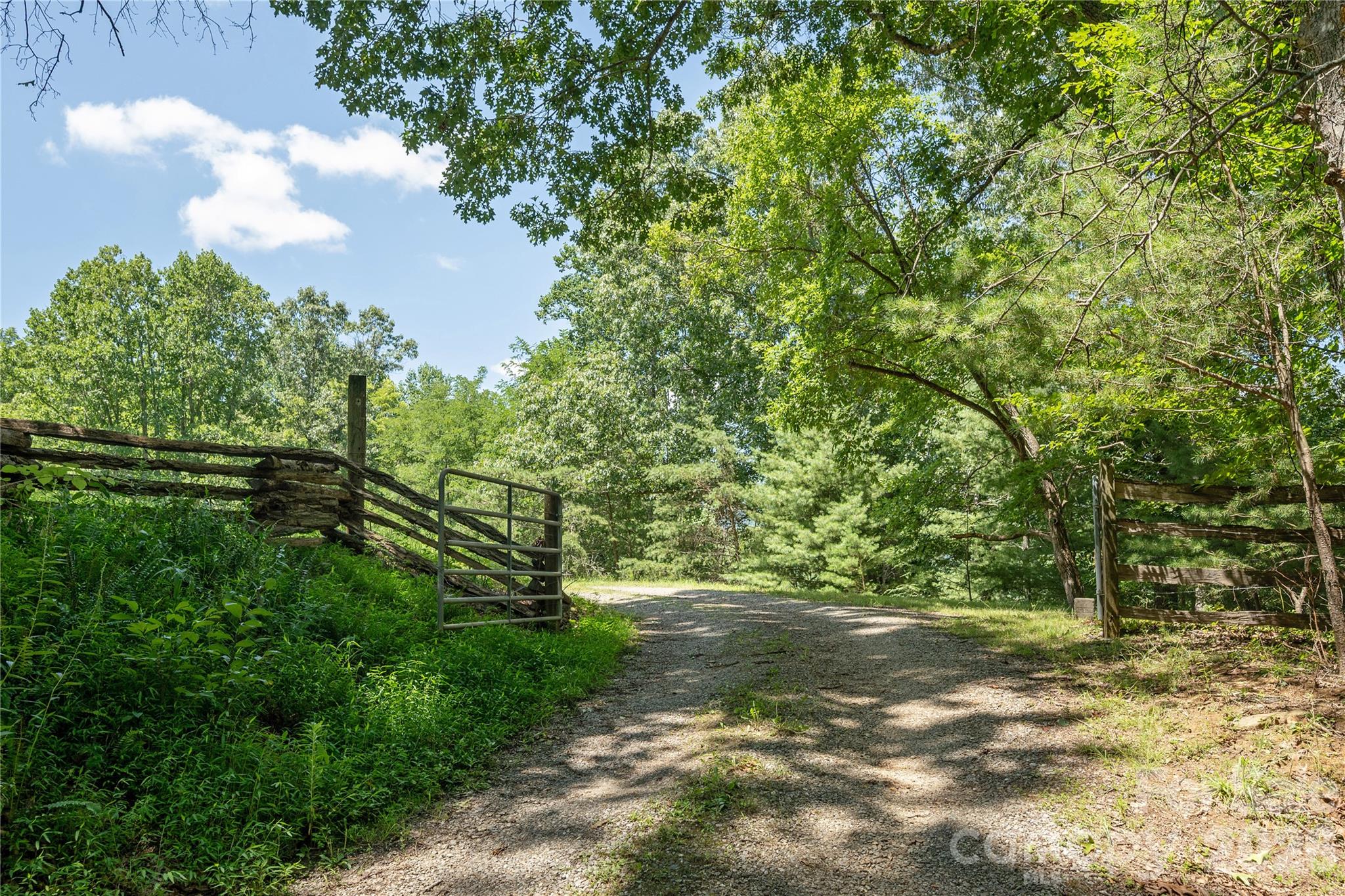 47 Buchanan Lane Property Photo 29