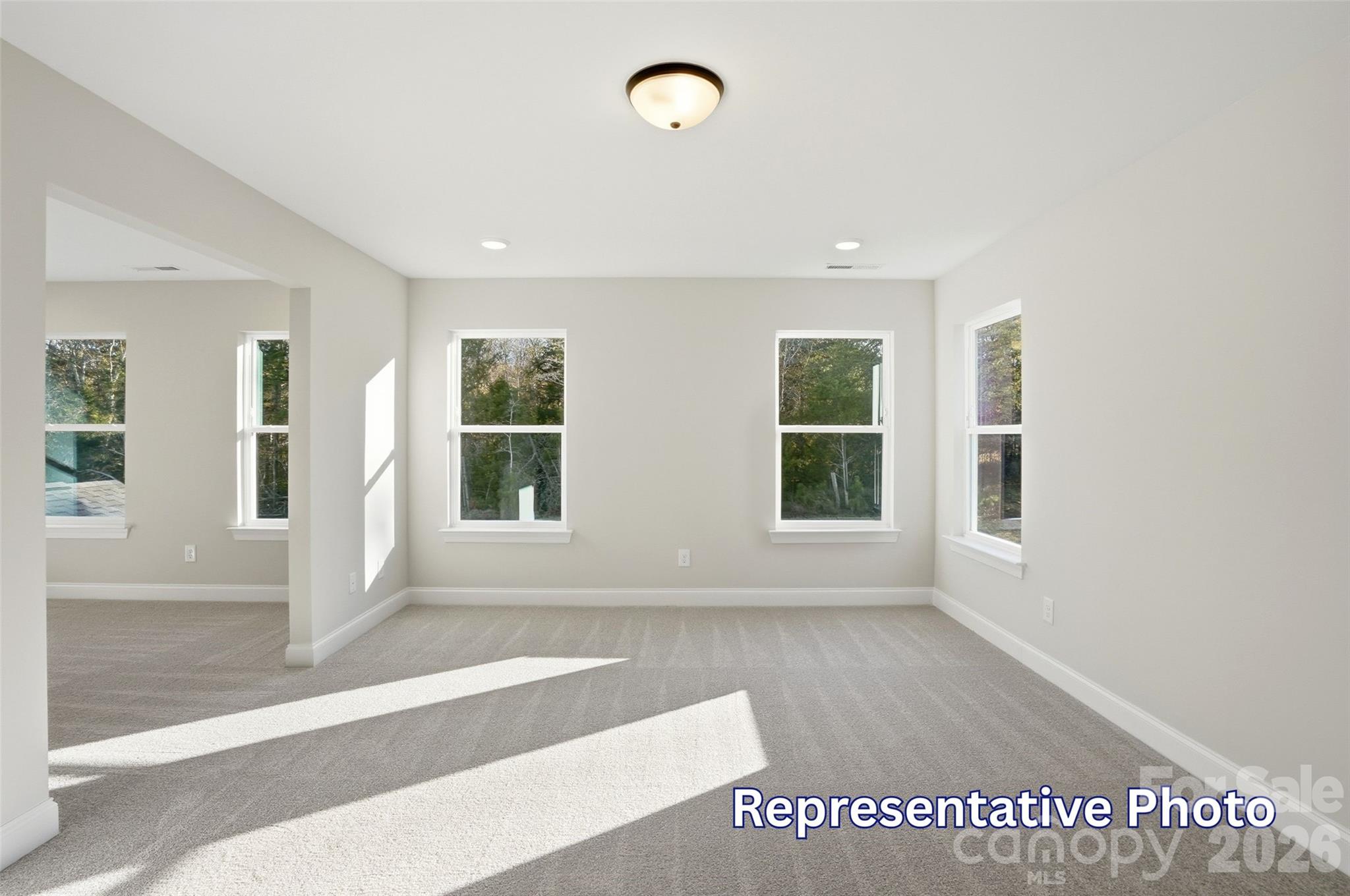 1067 Tradition Club Street Property Photo 26