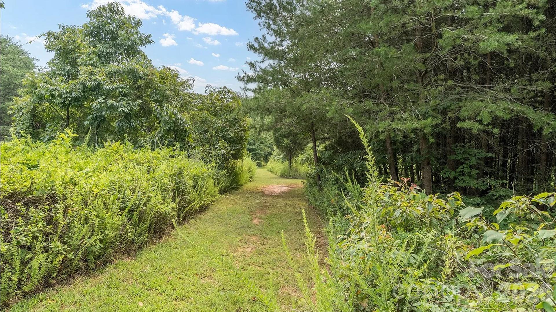 4220 Mount Beulah Road Property Photo 11