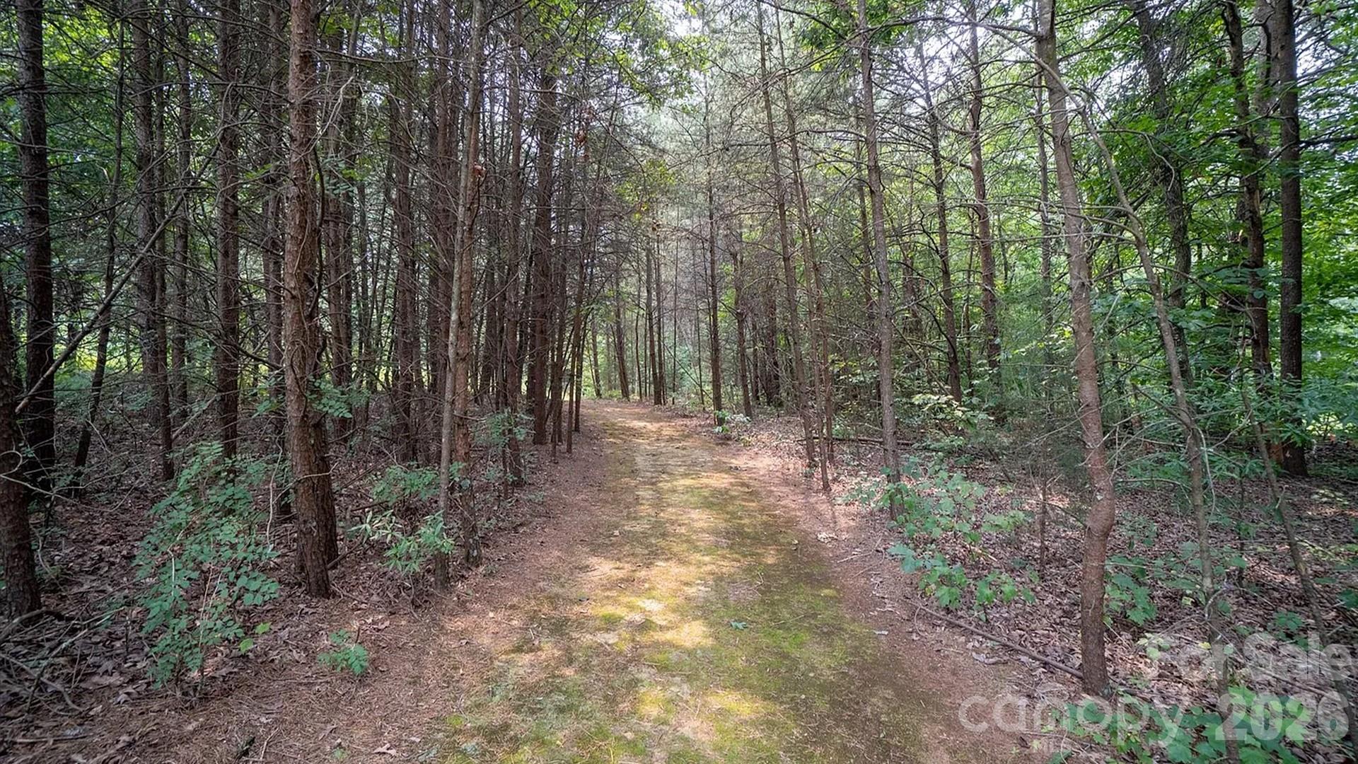 4220 Mount Beulah Road Property Photo 12