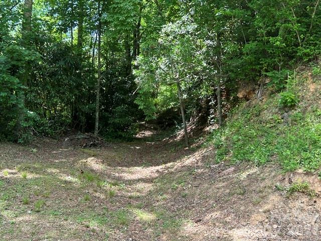 726 Israel Road Property Photo 17