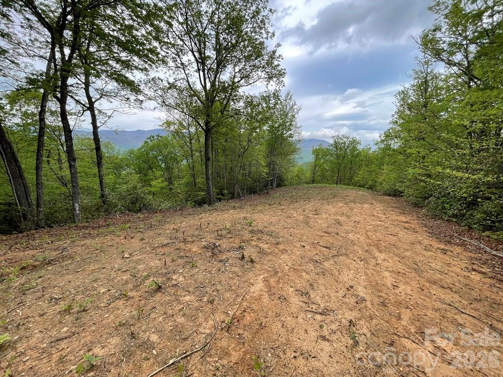 Lot 7 Copperhead Cove Property Photo 1