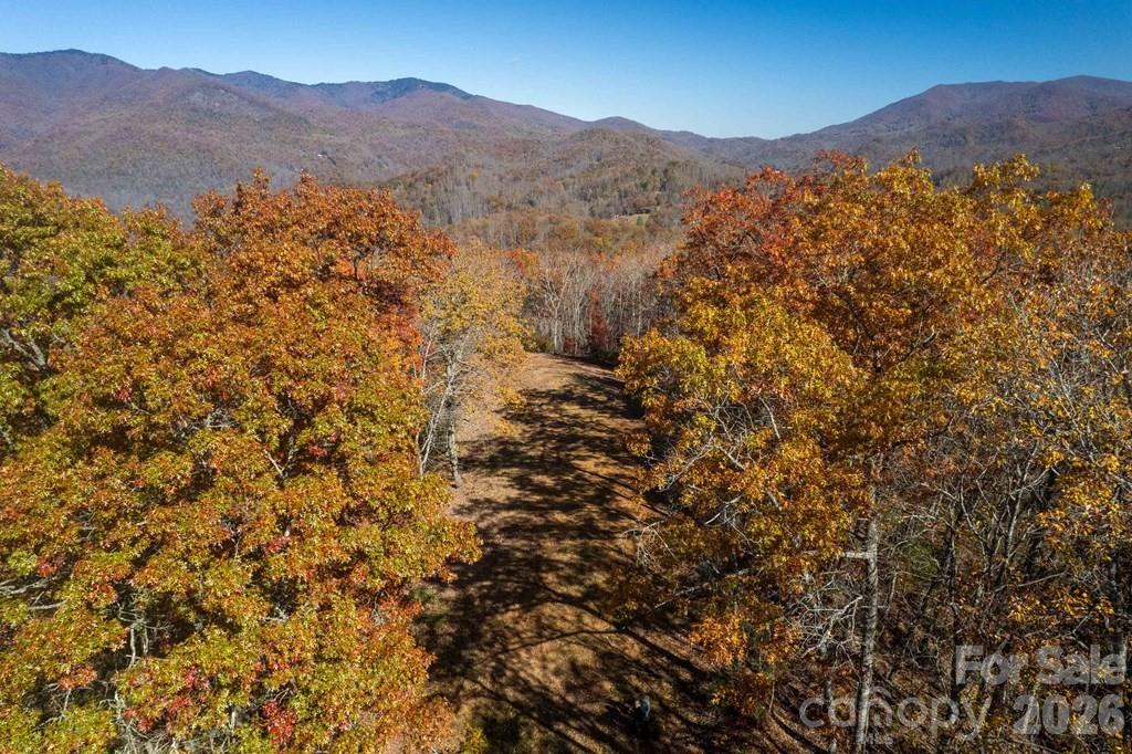 Lot 7 Copperhead Cove Property Photo 2