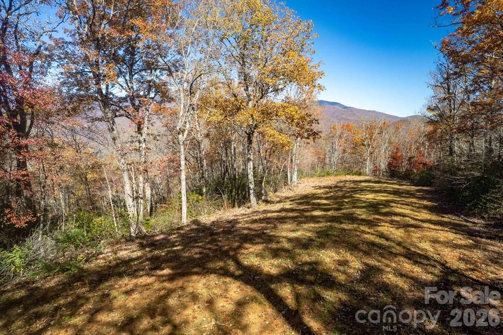 Lot 7 Copperhead Cove Property Photo 4