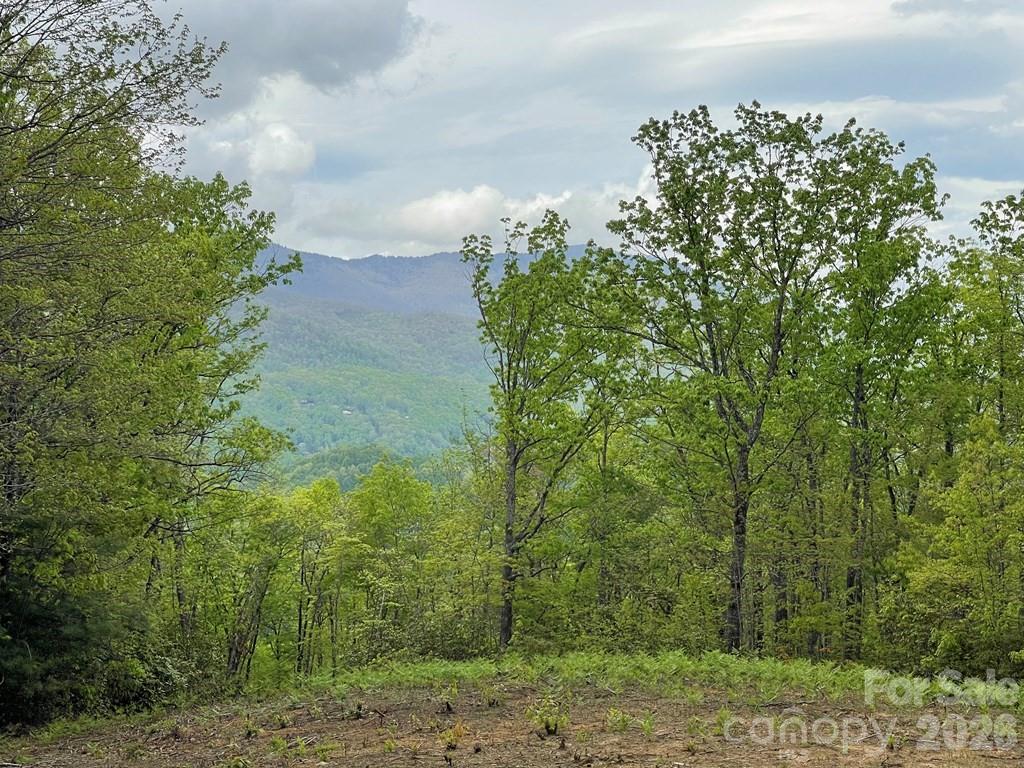 Lot 7 Copperhead Cove Property Photo 5