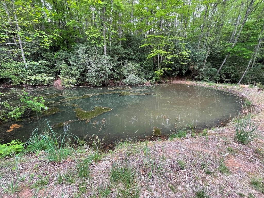 Lot 7 Copperhead Cove Property Photo 6