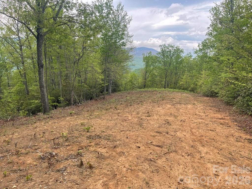 Lot 7 Copperhead Cove Property Photo 7