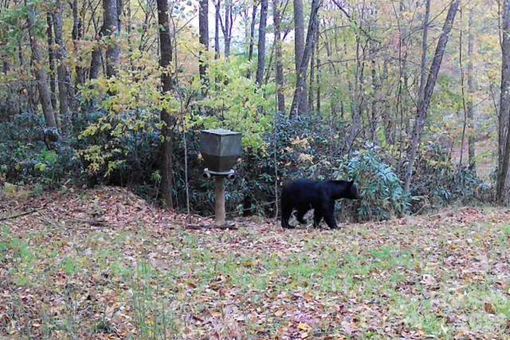 Lot 7 Copperhead Cove Property Photo 9