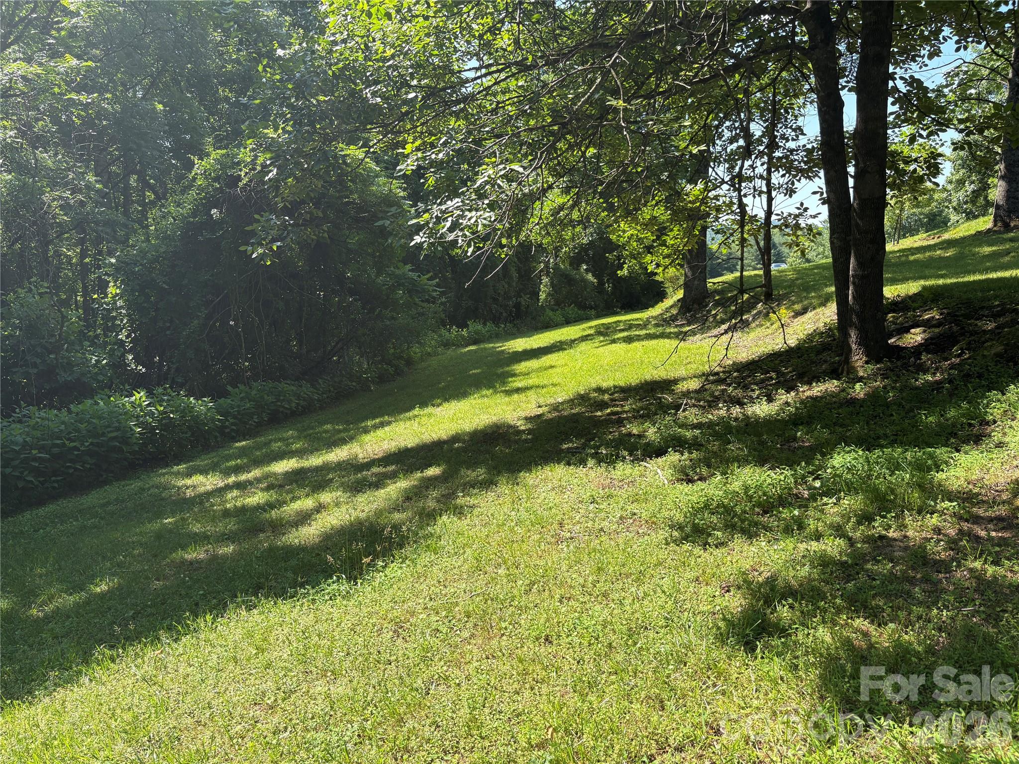239 Stone Valley Way Property Photo 11