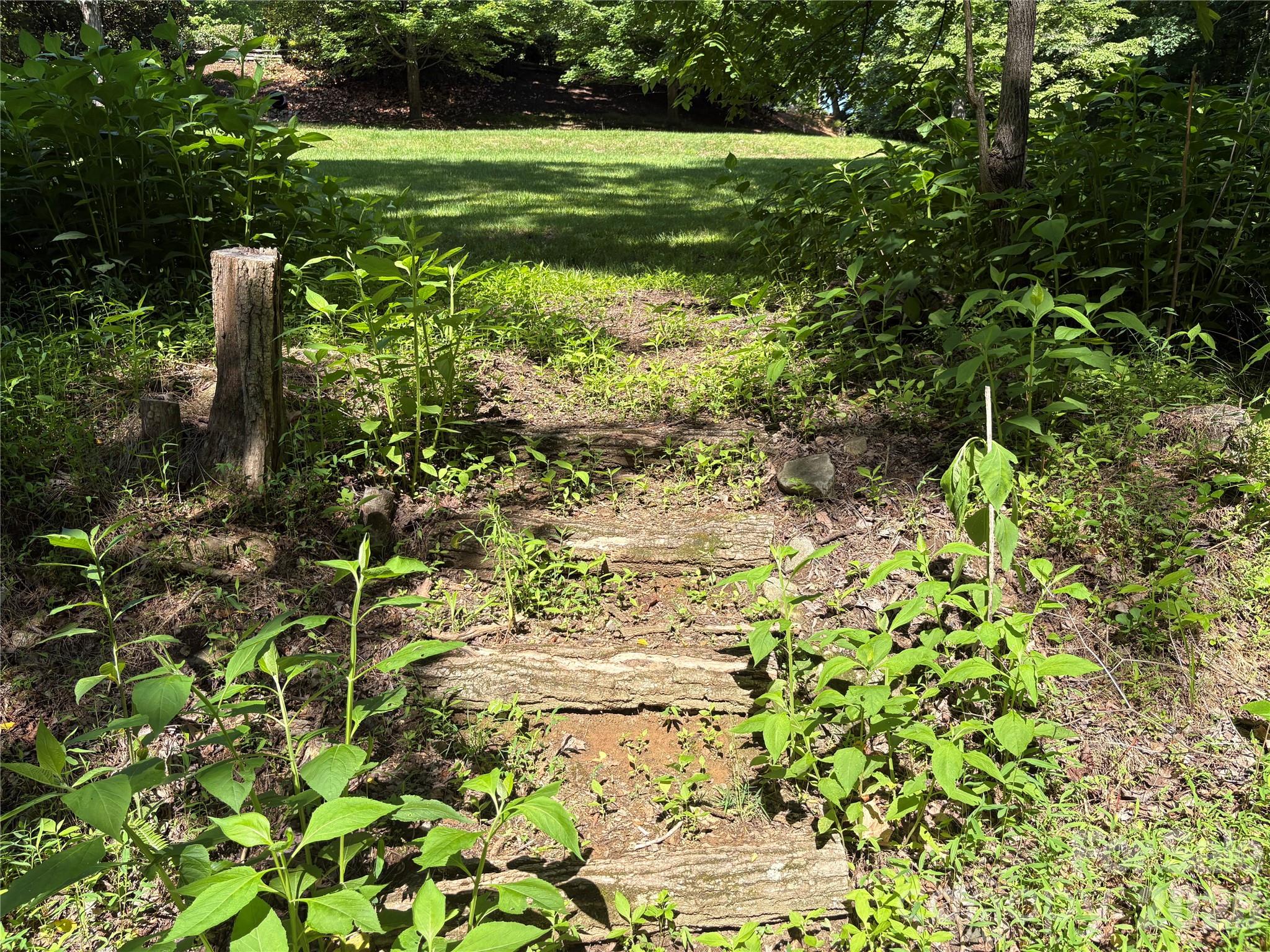 239 Stone Valley Way Property Photo 13