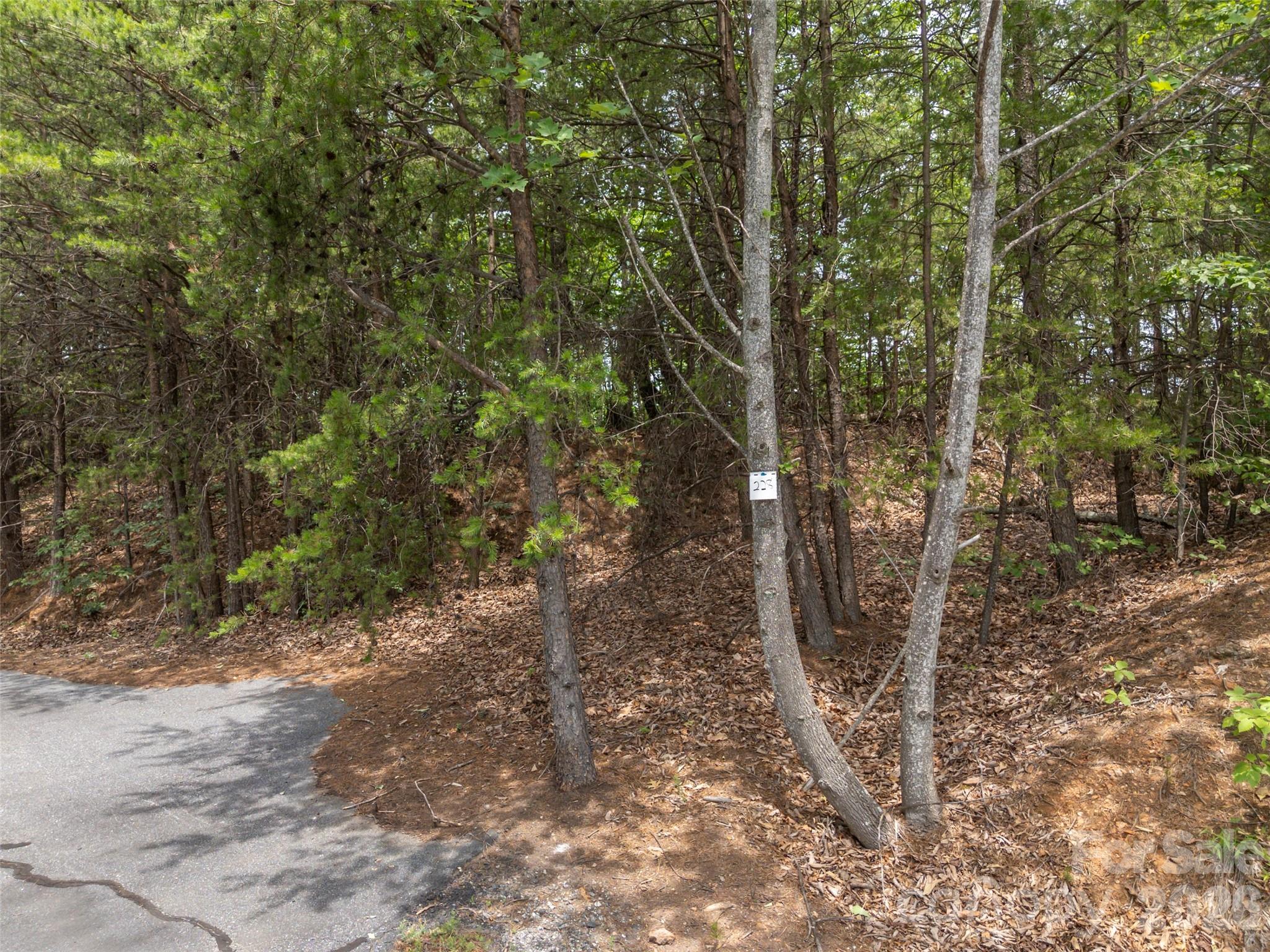 228 Brighton Drive Property Photo 3