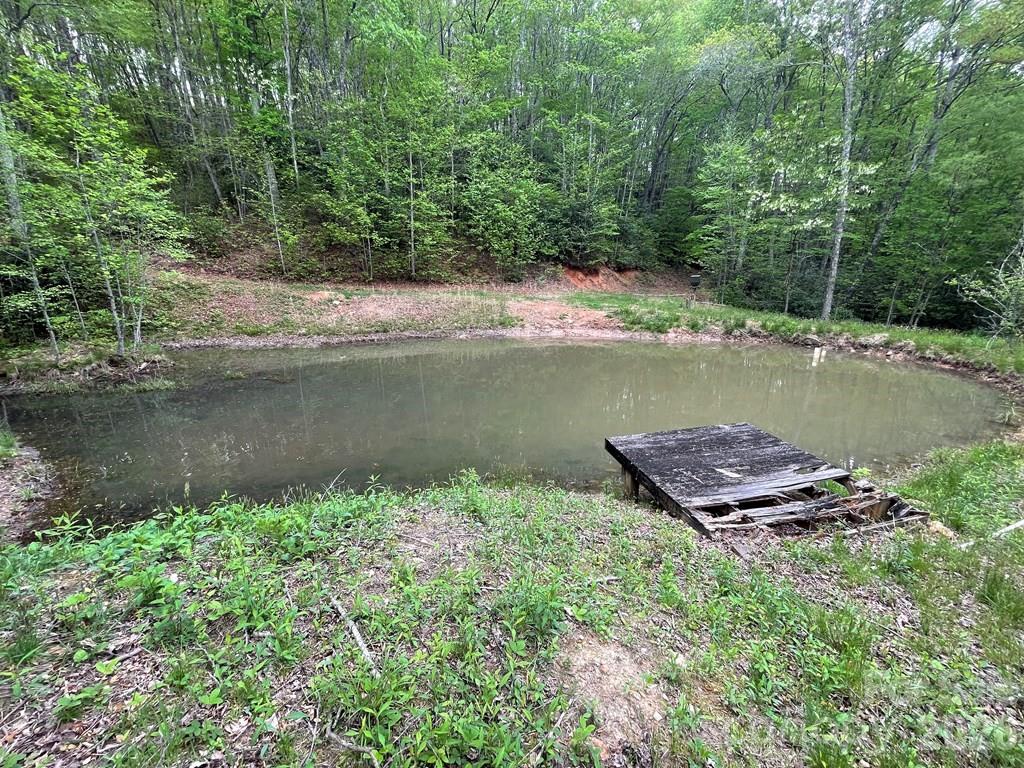 930 Copperhead Cove Property Photo 7