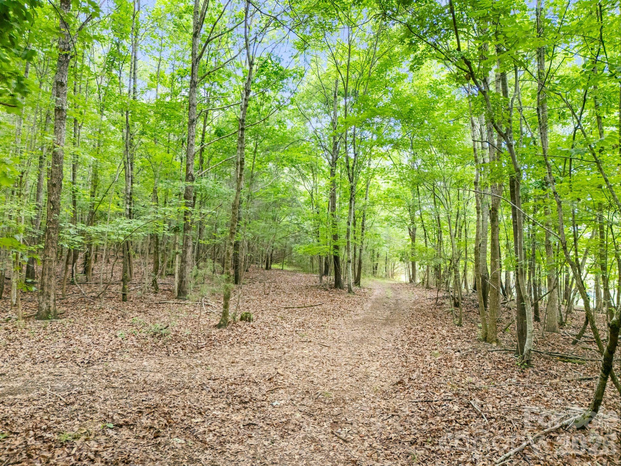 1151 Trull Hinson Road Property Photo 32