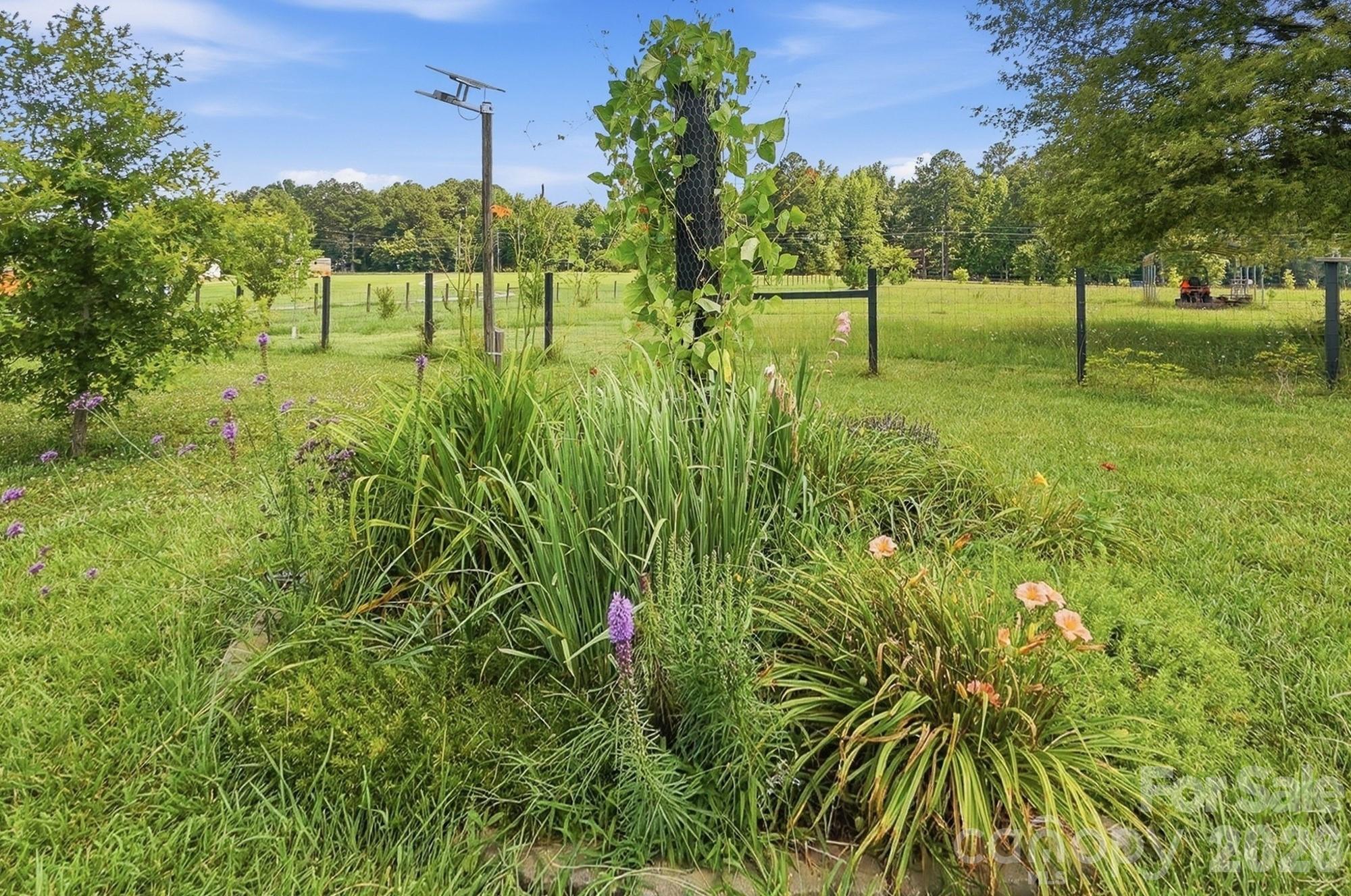 650 Daves Road Property Photo 41