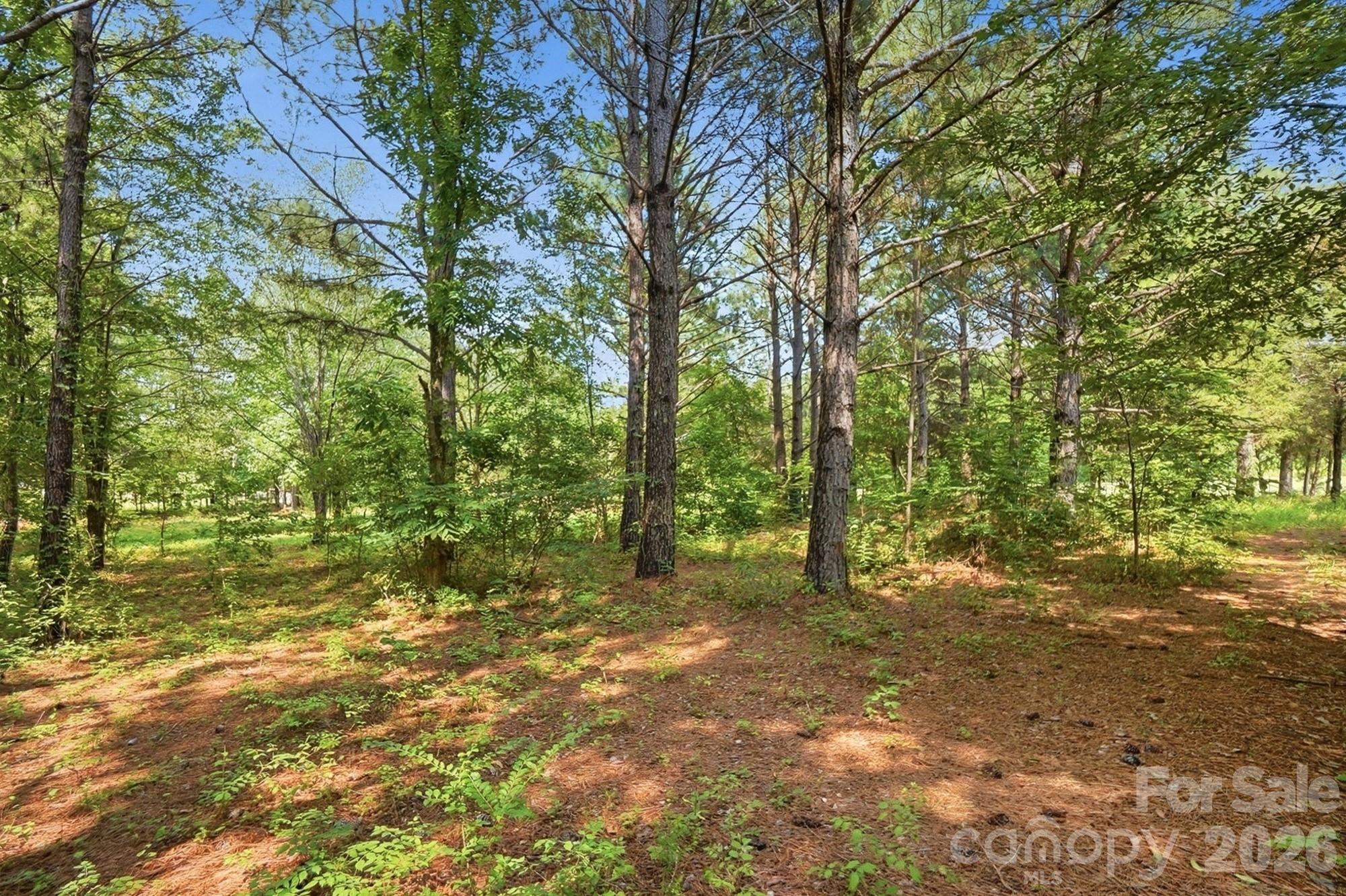 650 Daves Road Property Photo 42
