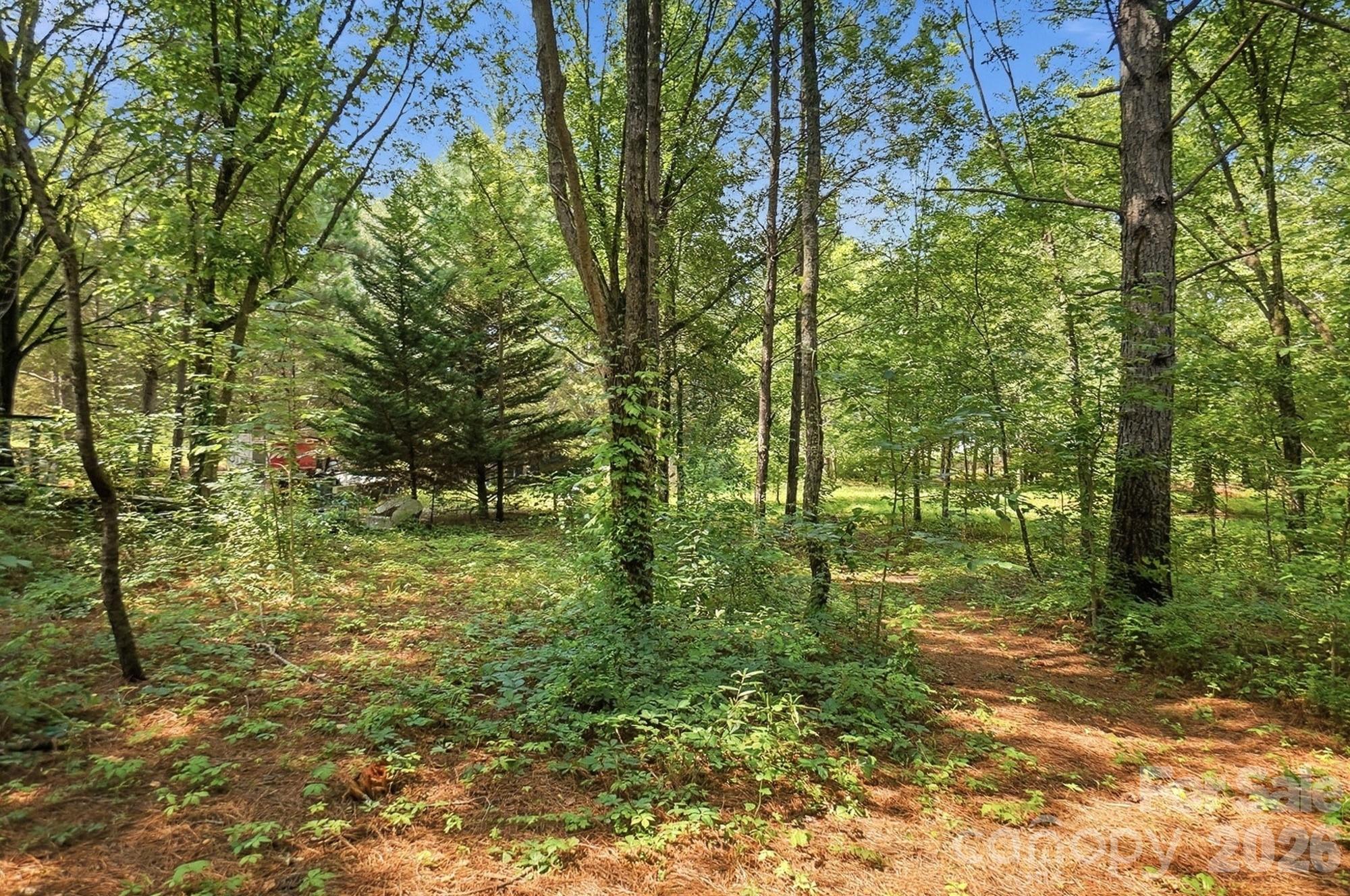 650 Daves Road Property Photo 43