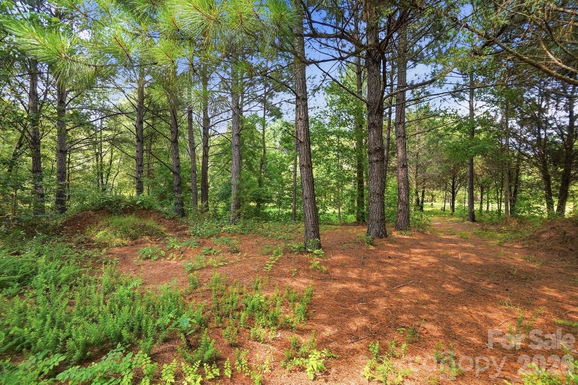 650 Daves Road Property Photo 44
