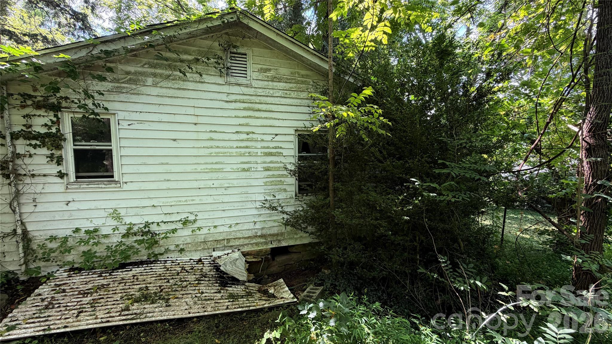 20 Utopia Road Property Photo 5