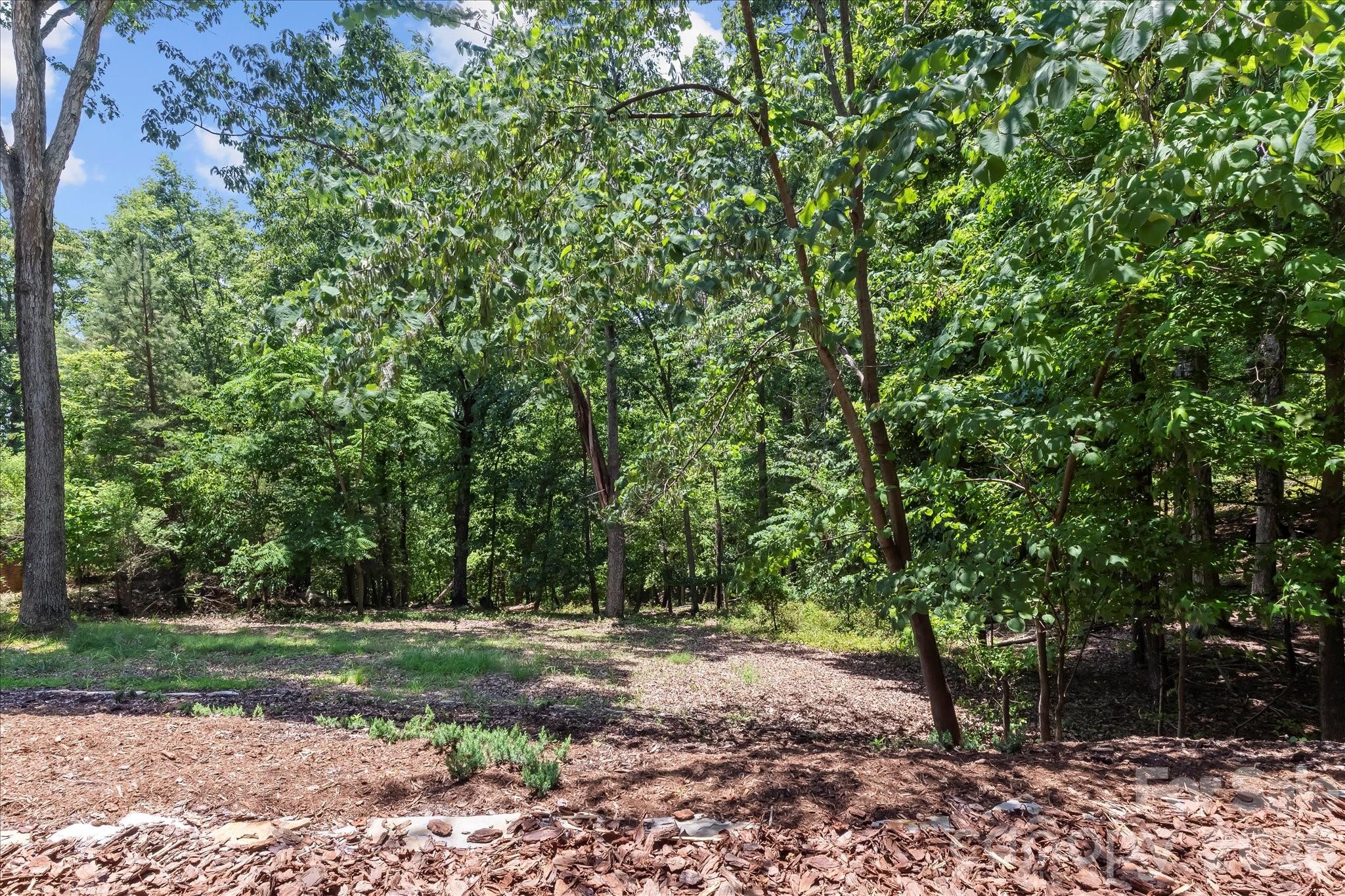 172 Lawson's Lookout None Property Photo 42