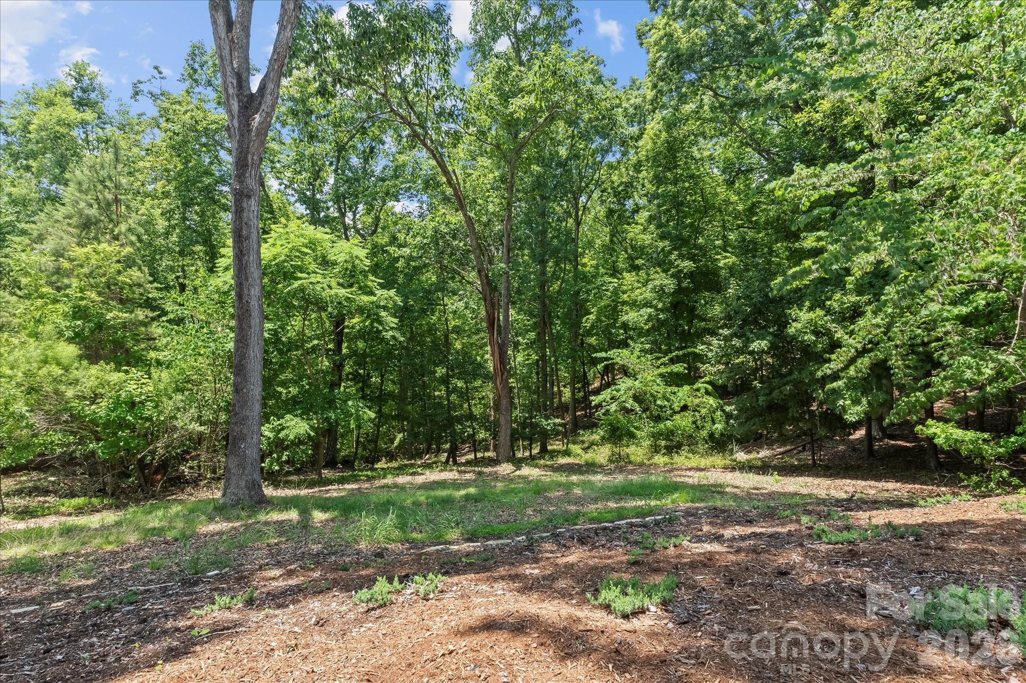 172 Lawson's Lookout None Property Photo 43